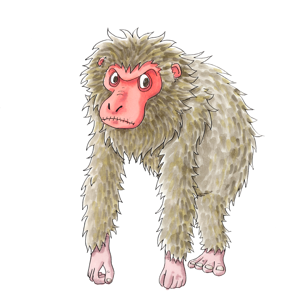 アマビコのイラスト