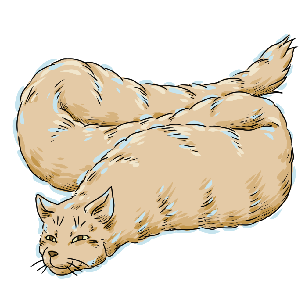 ミョドゥサ（猫頭蛇）